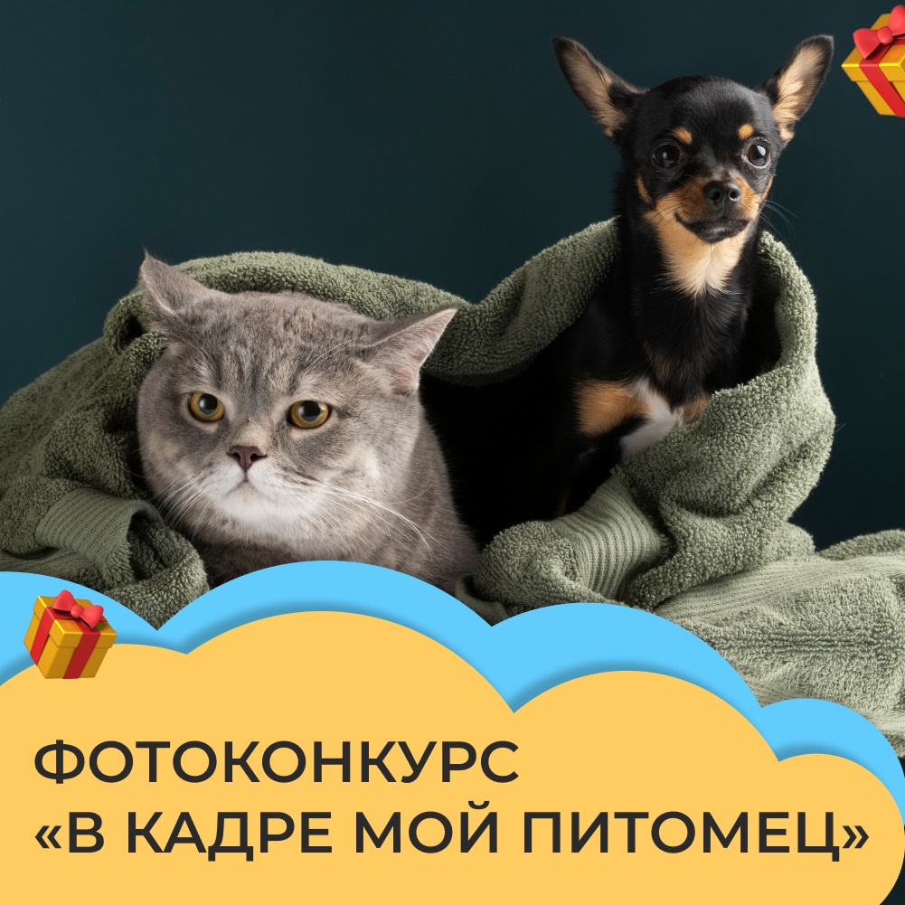 Фотоконкурс с призами от Государственной Уфимской ветеринарной станции